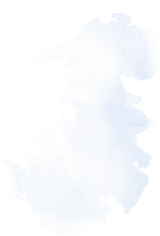 flutter app development
