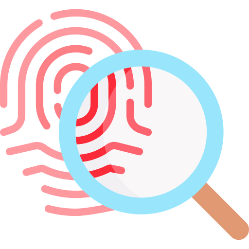 wordpress development