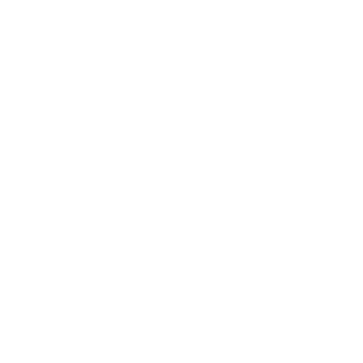 Seo Consultancy